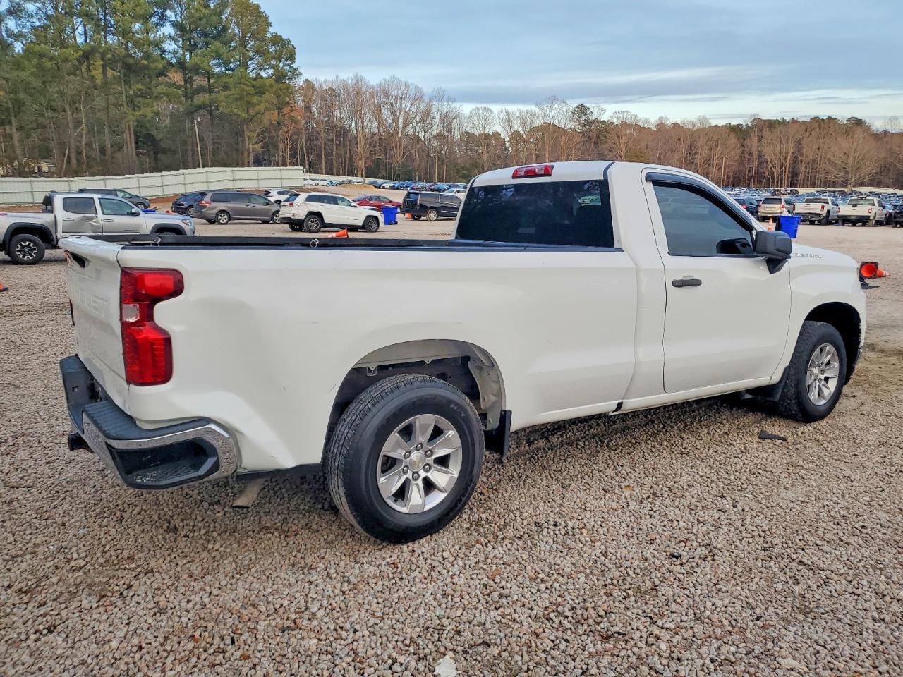 2019 CHEVROLET SILVERADO C1500 photo 3