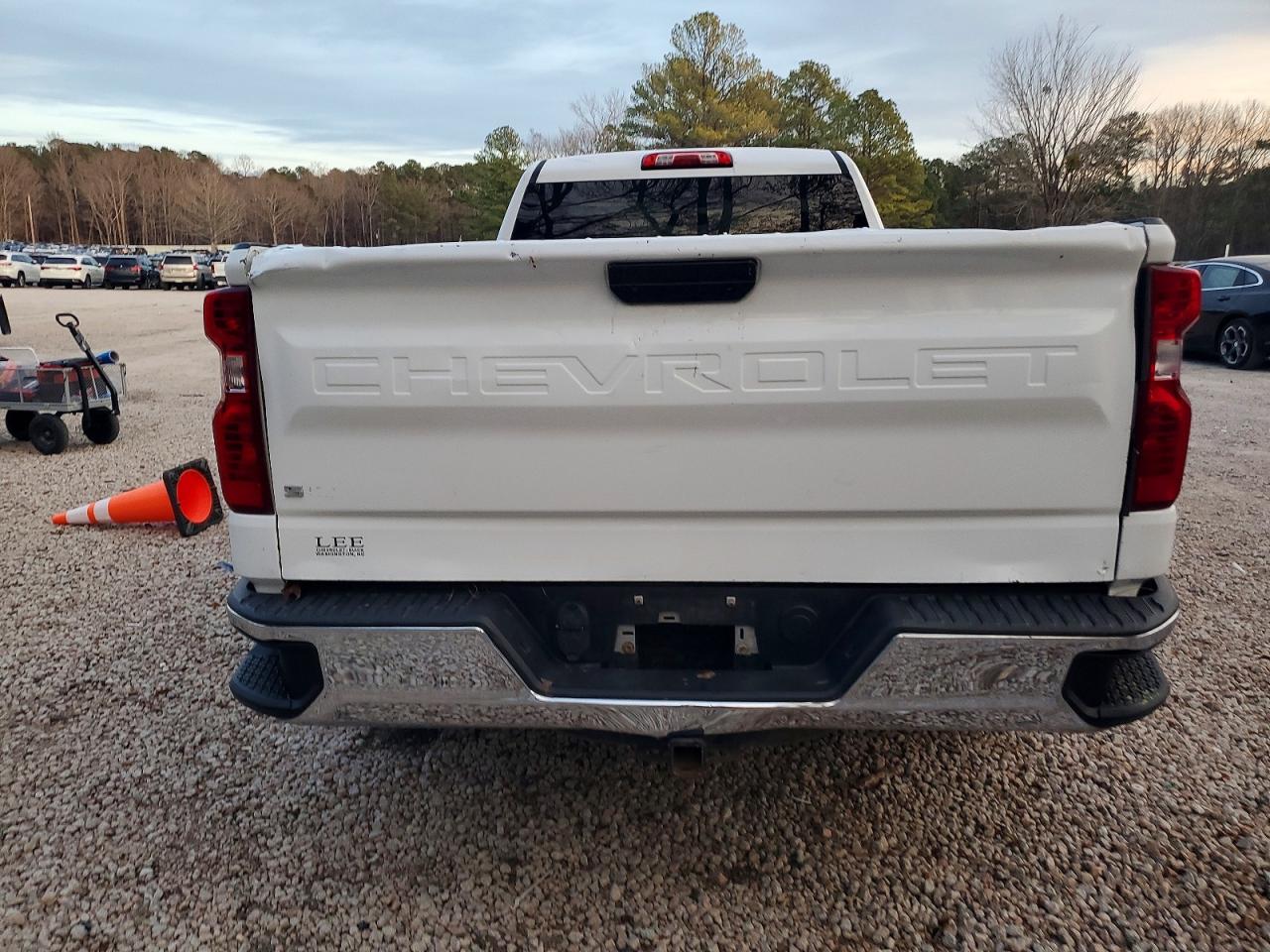 2019 CHEVROLET SILVERADO C1500 photo 6