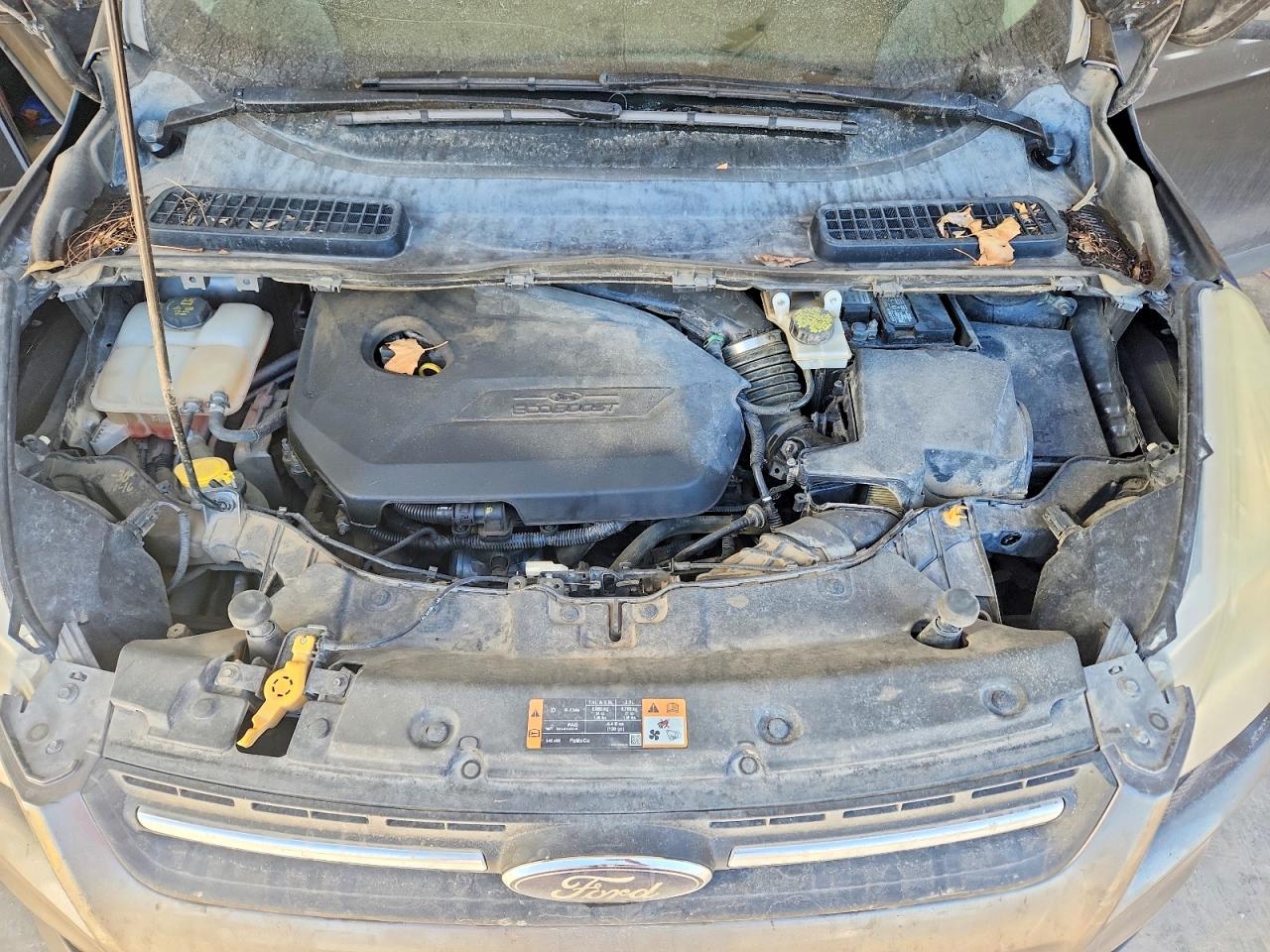 2014 FORD ESCAPE SE photo 23