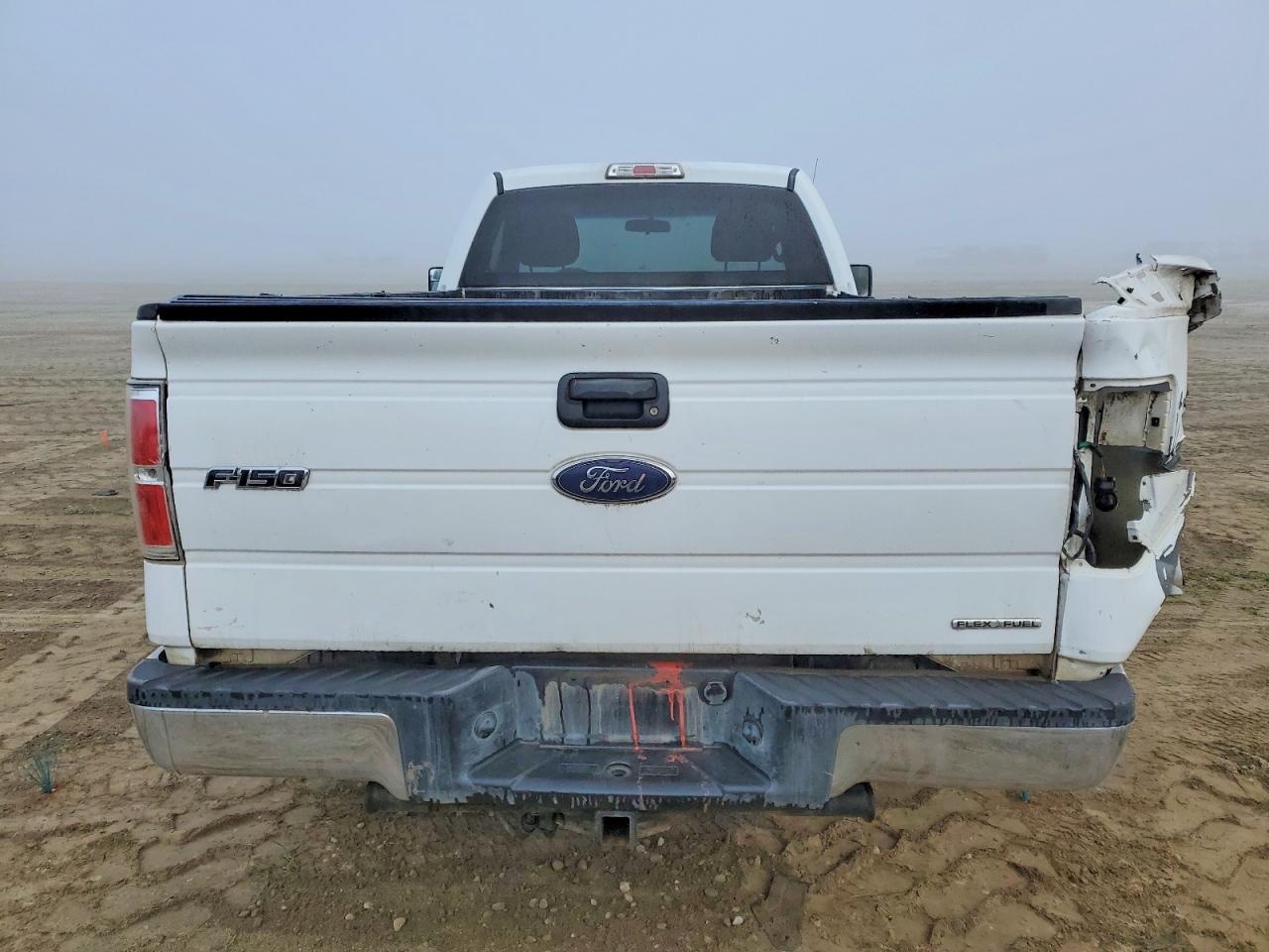 2014 FORD F150 photo 10