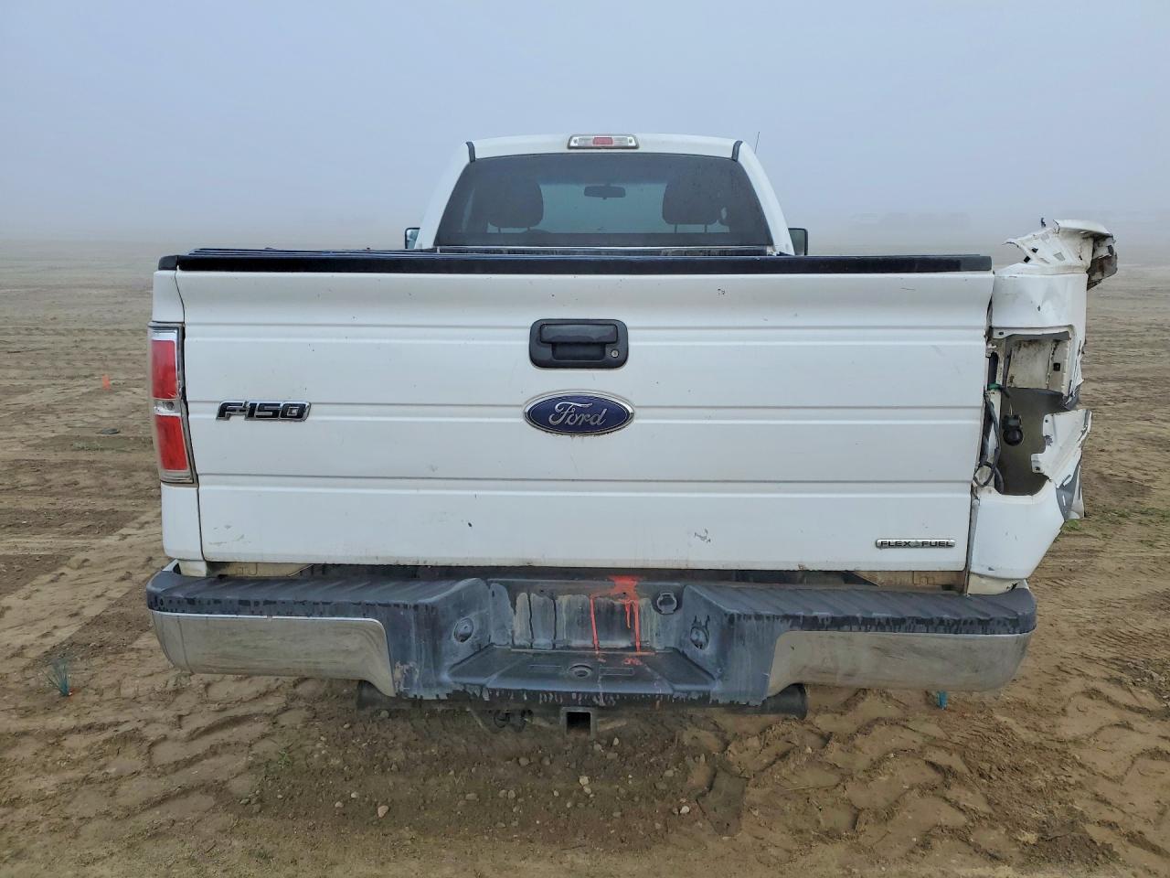 2014 FORD F150 photo 6