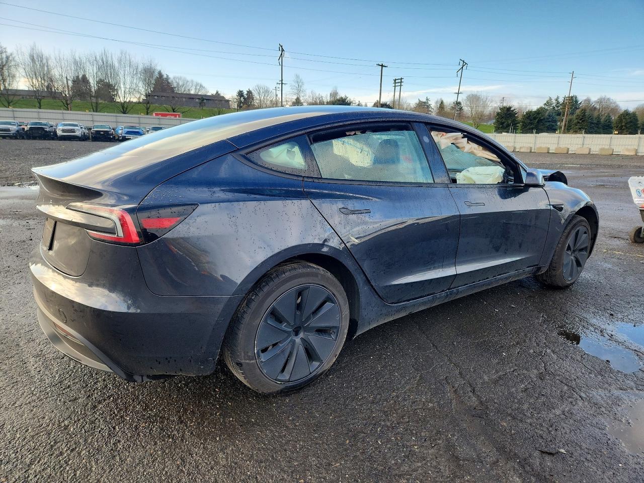 2024 TESLA MODEL 3 photo 3