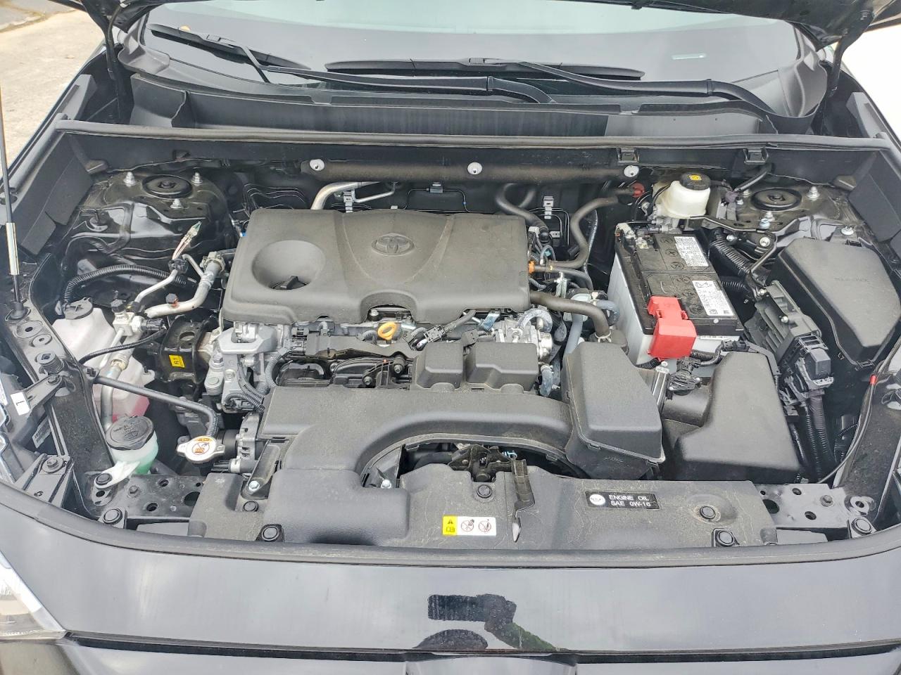 2025 TOYOTA RAV4 LE photo 11