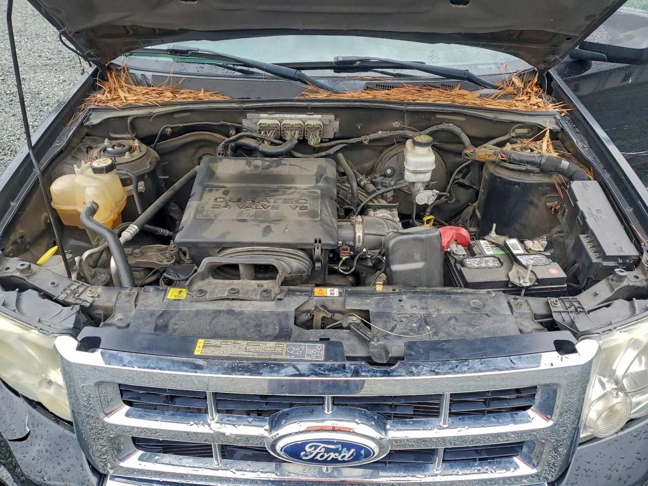 2011 FORD ESCAPE LIMITED photo 12