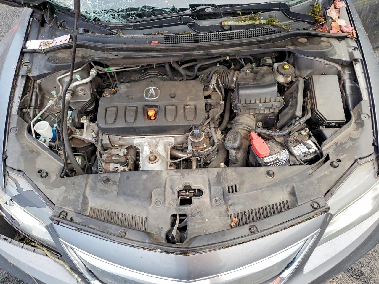 2014 ACURA ILX 20 photo 11