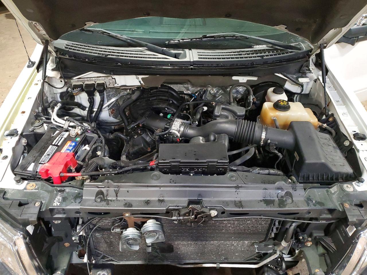 2013 FORD F150 photo 11