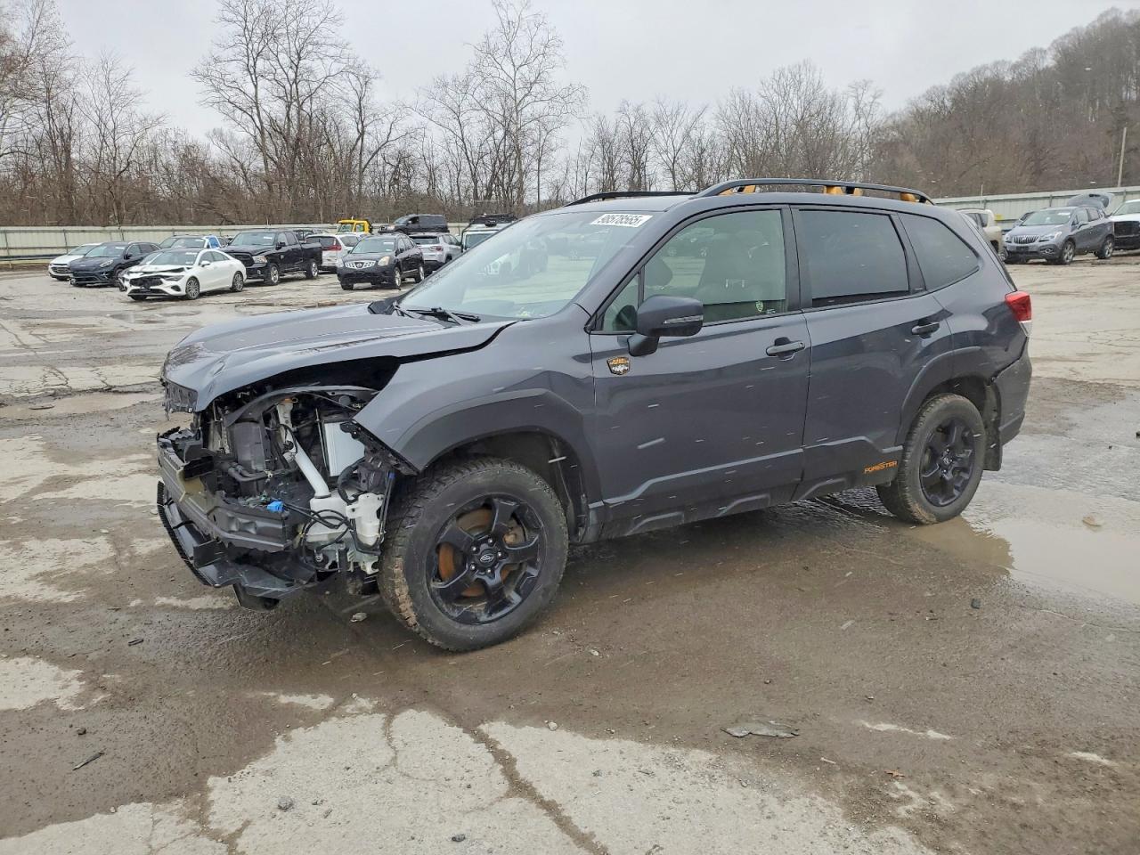 2024 SUBARU FORESTER