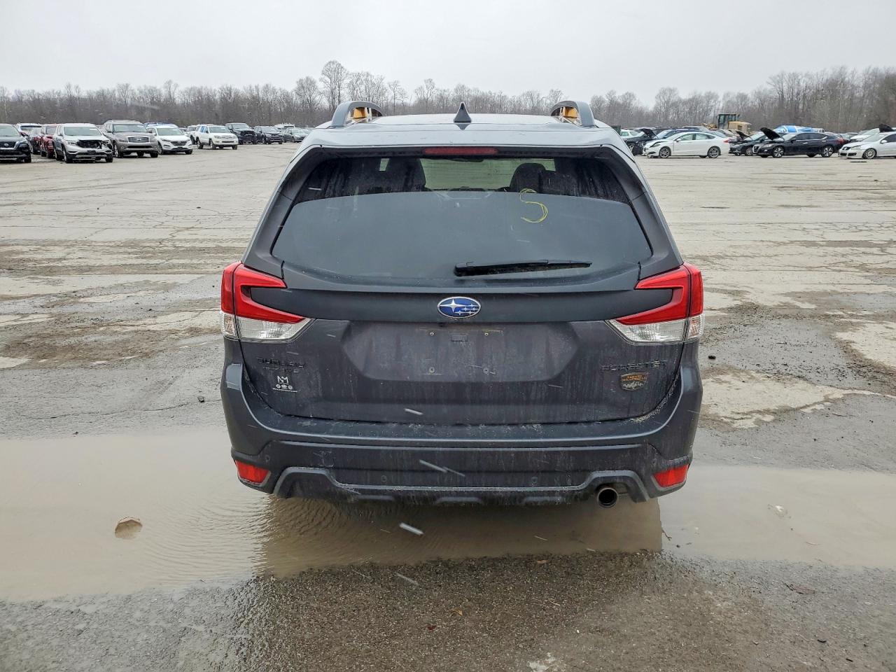 2024 SUBARU FORESTER WILDERNESS photo 6