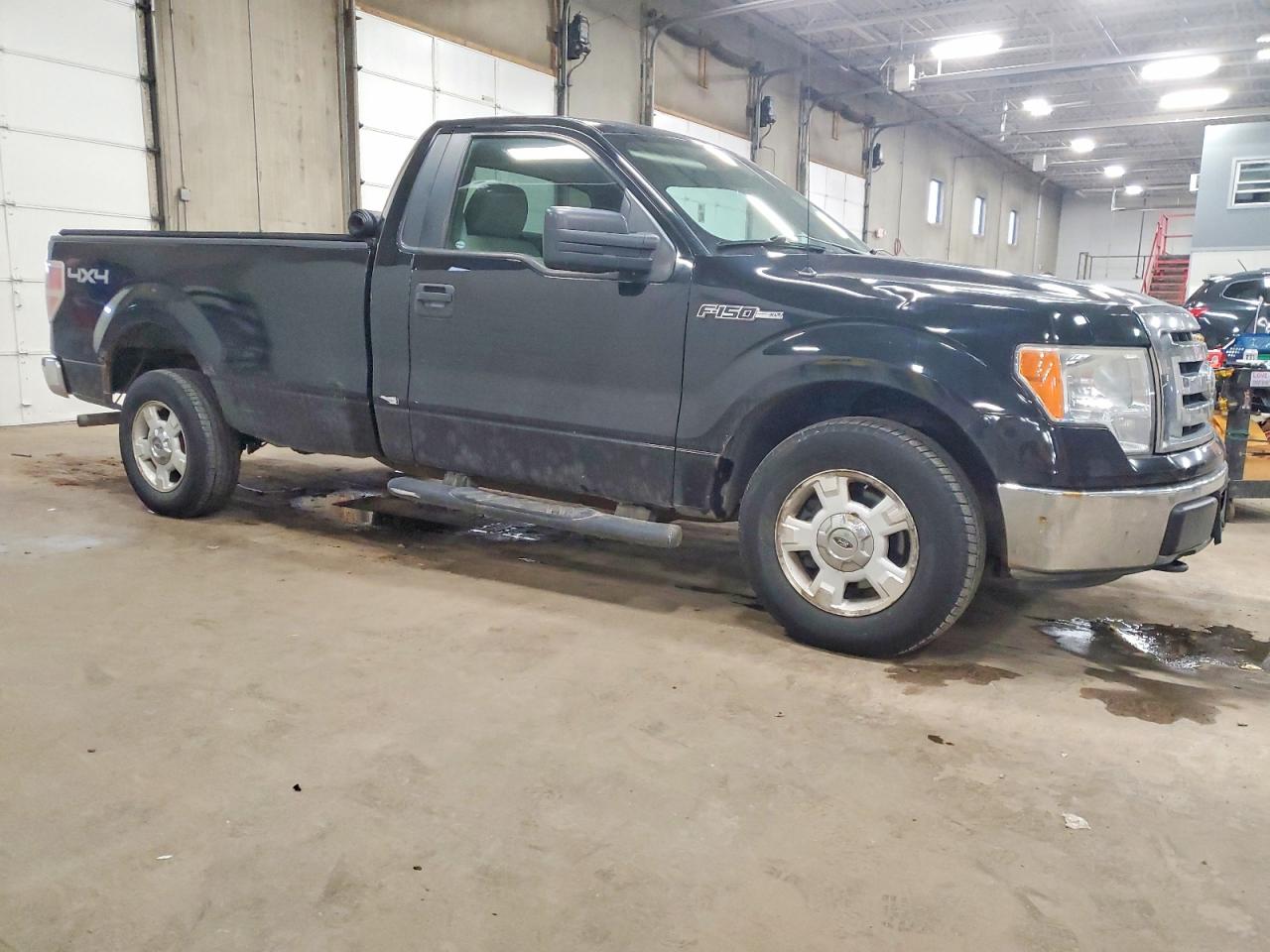 2009 FORD F150 photo 10