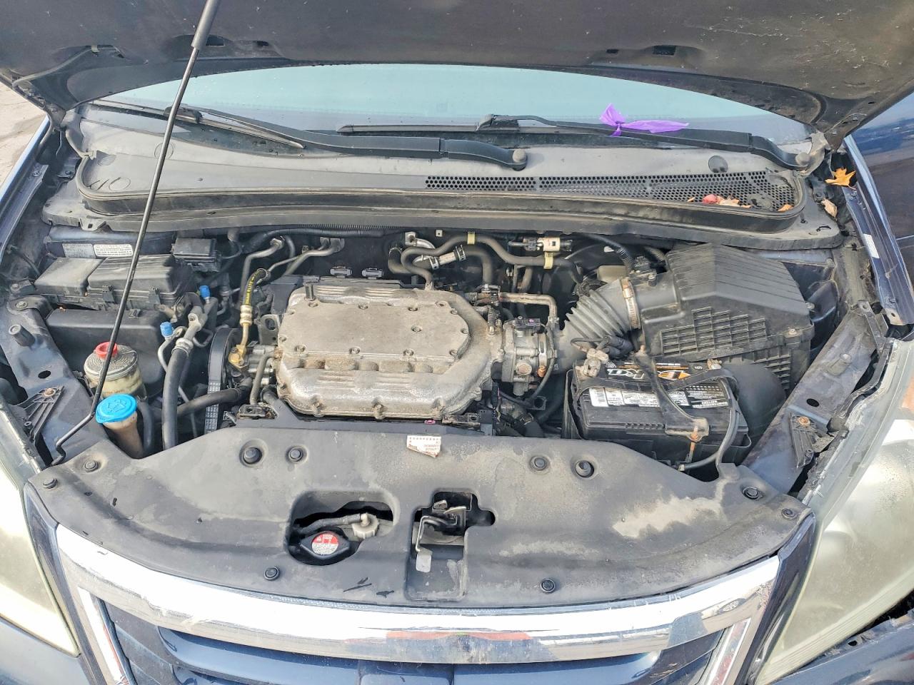 2010 HONDA ODYSSEY EXL photo 12