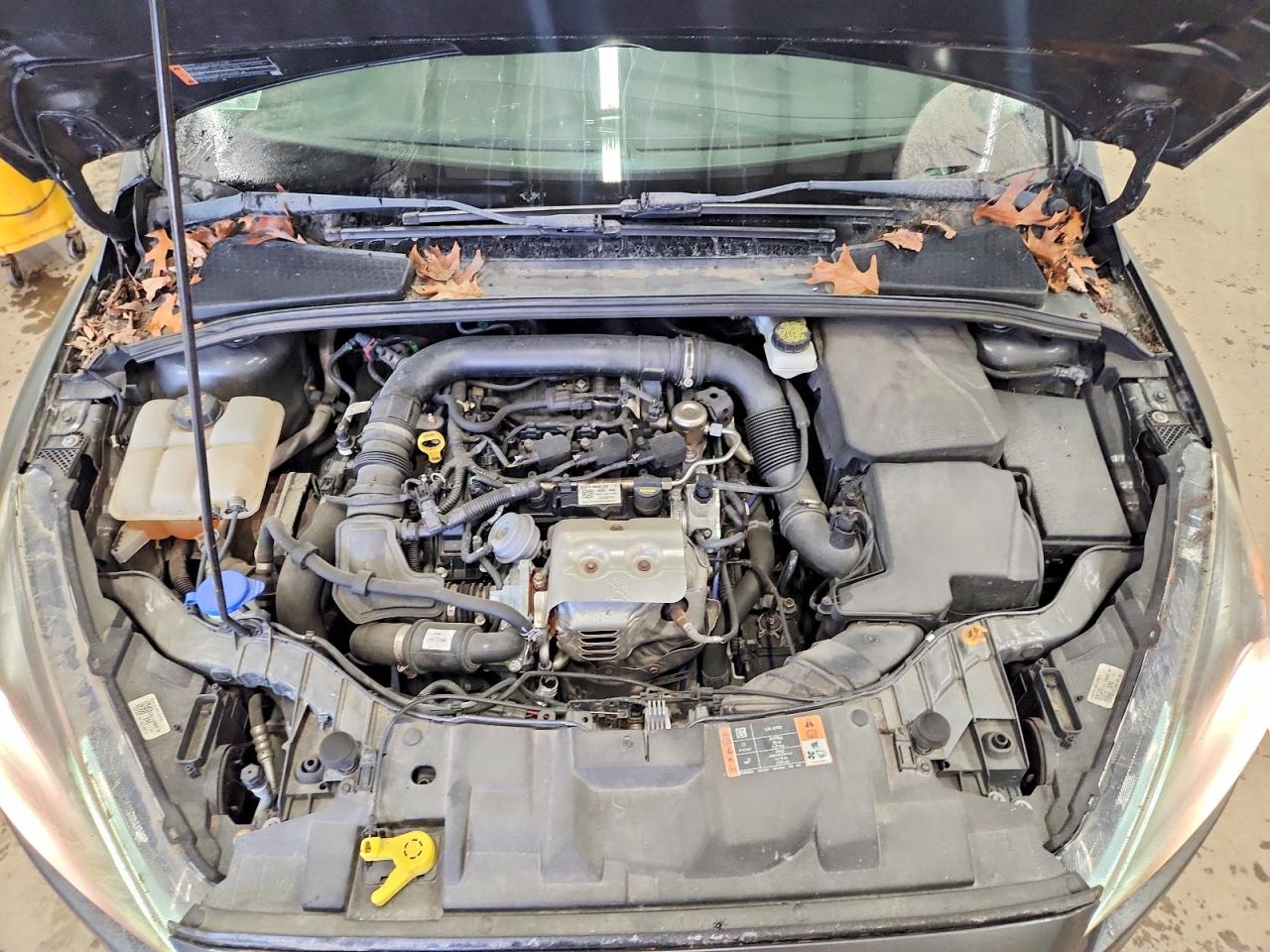 2017 FORD FOCUS SE photo 11
