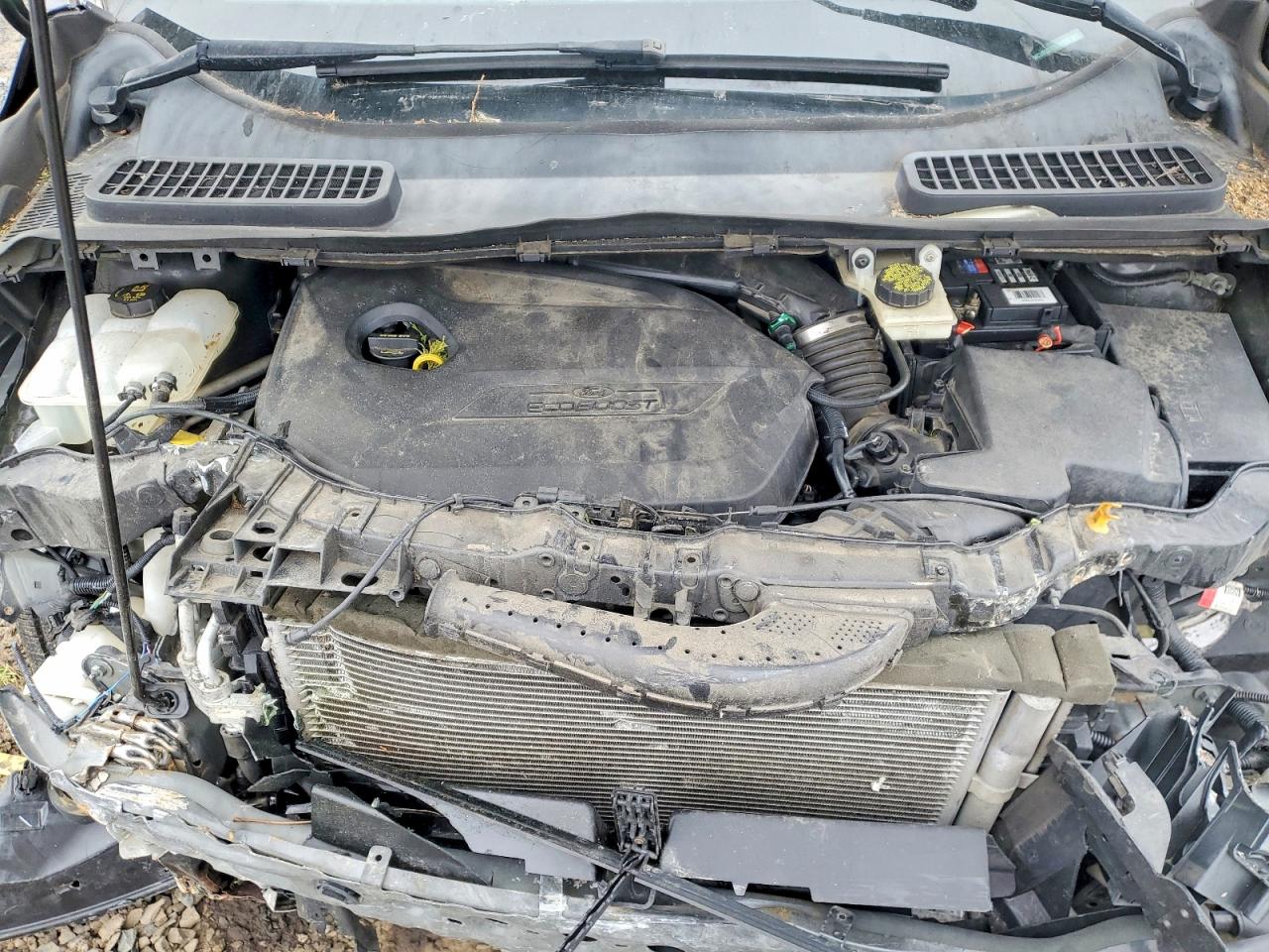 2014 FORD ESCAPE SE photo 23