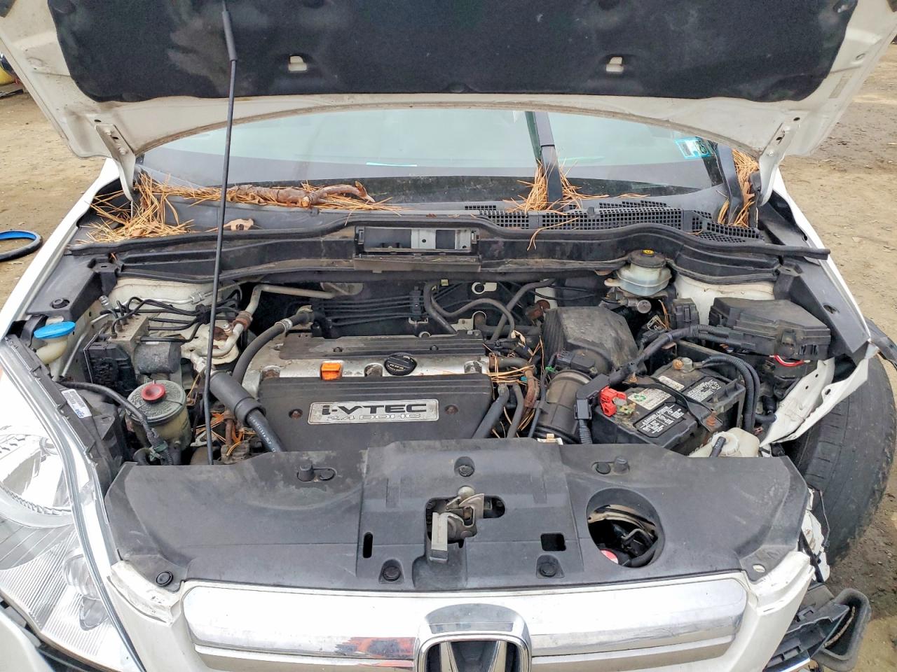 2007 HONDA CR-V EXL photo 23