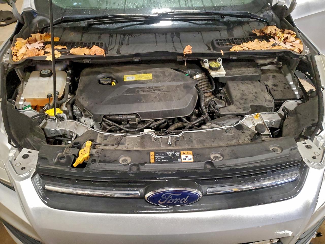 2014 FORD ESCAPE SE photo 12