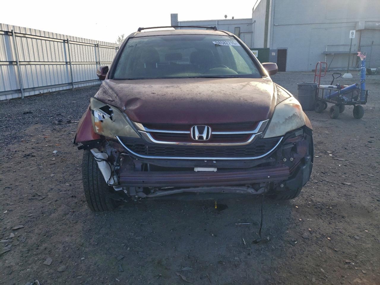 2010 HONDA CR-V EXL photo 5