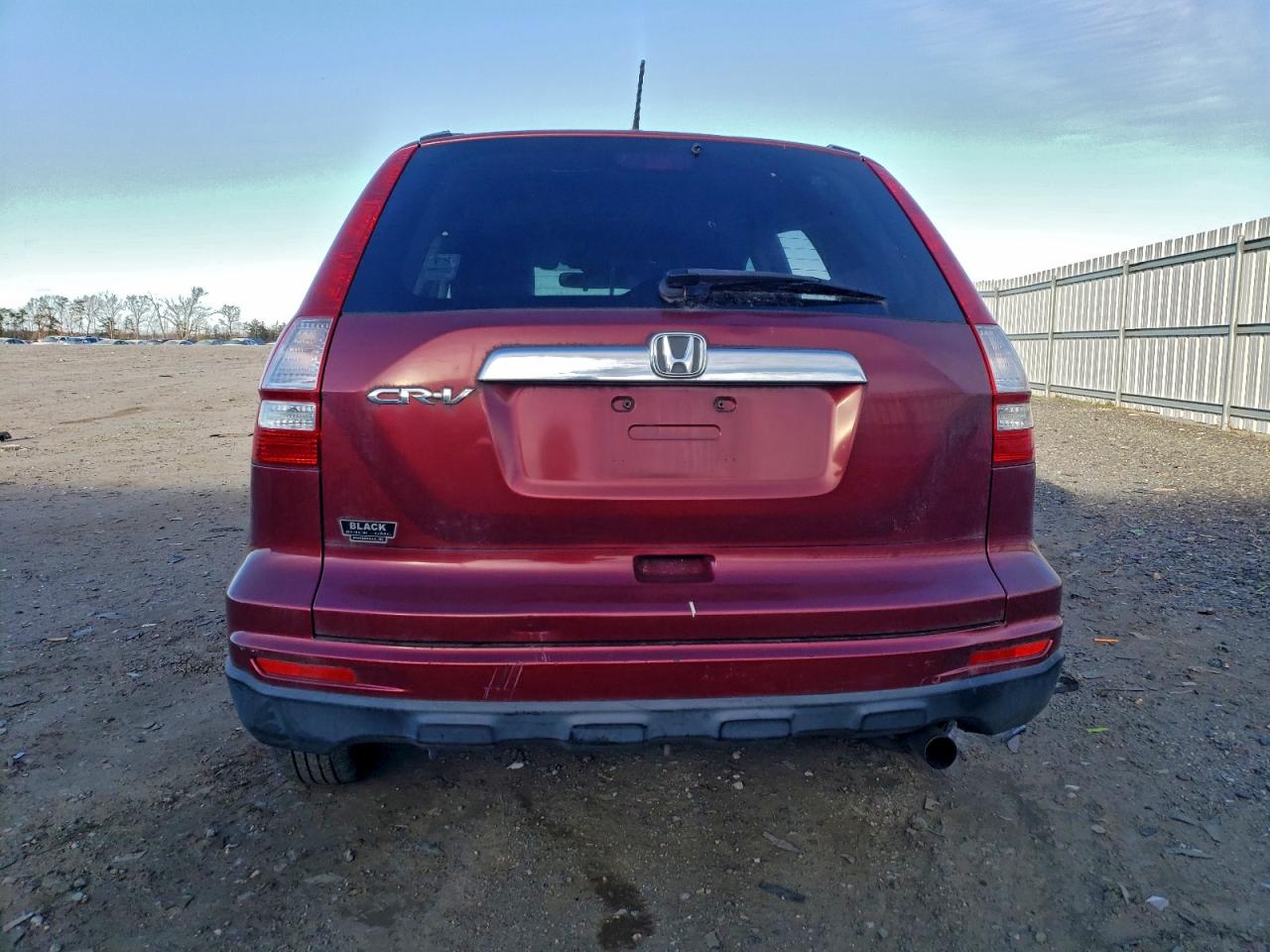 2010 HONDA CR-V EXL photo 6
