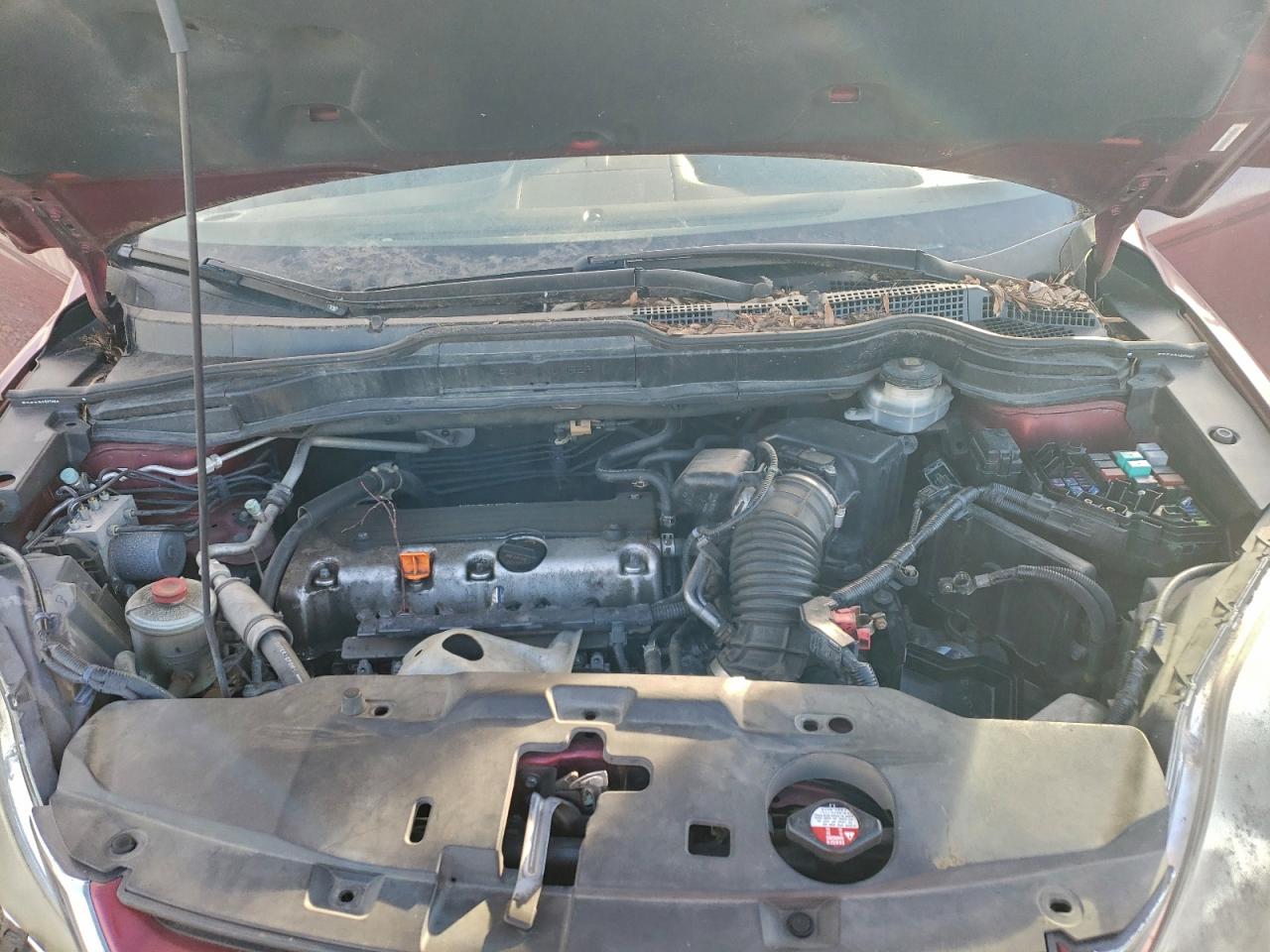 2010 HONDA CR-V EXL photo 12