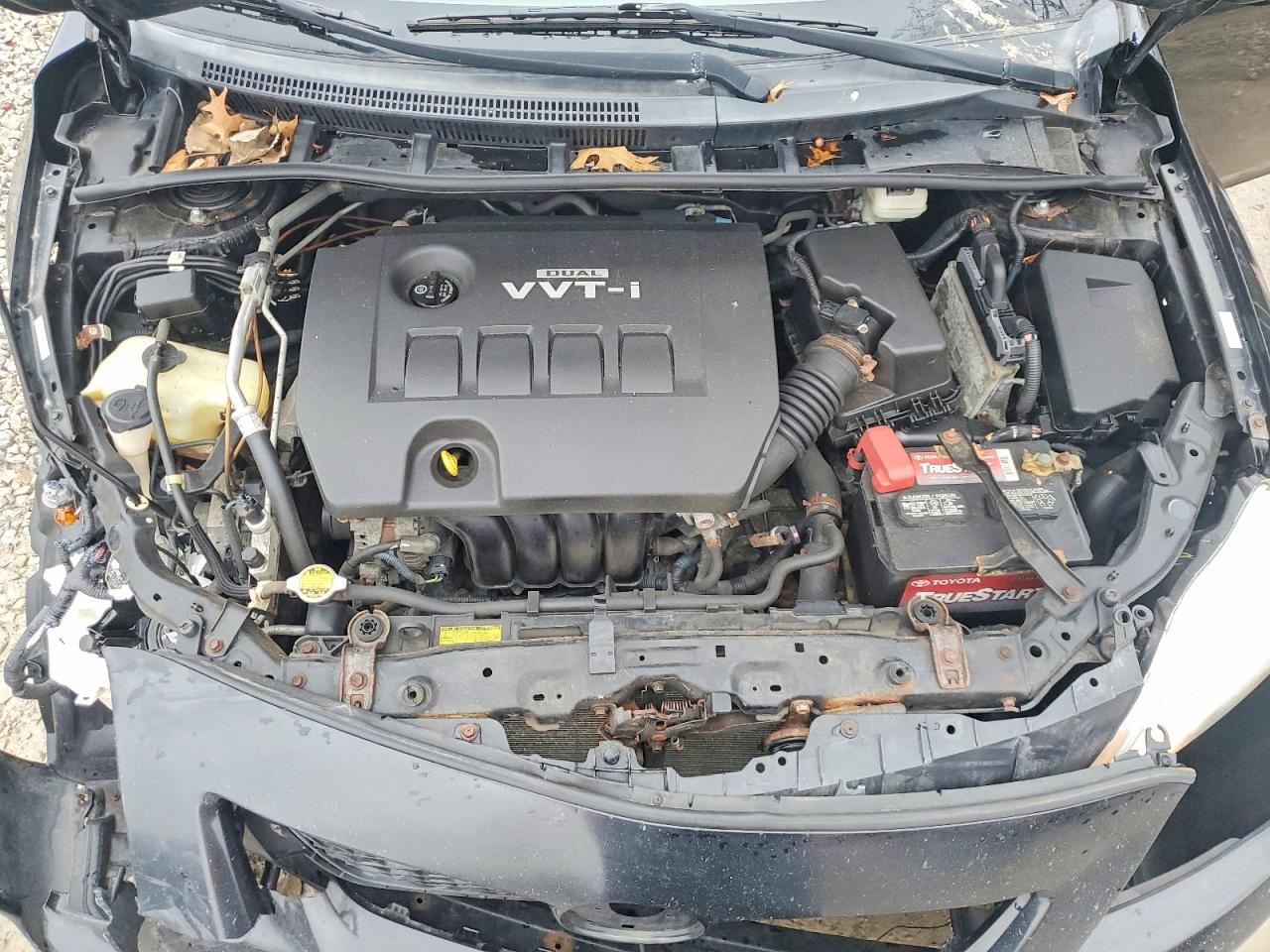 2010 TOYOTA COROLLA BASE photo 11