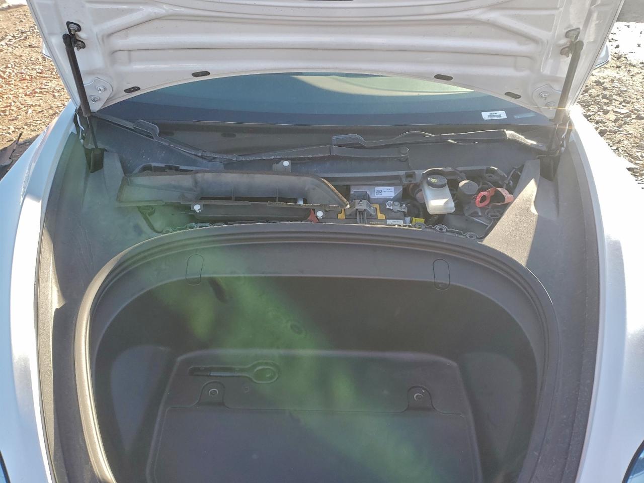 2019 TESLA MODEL 3 photo 11
