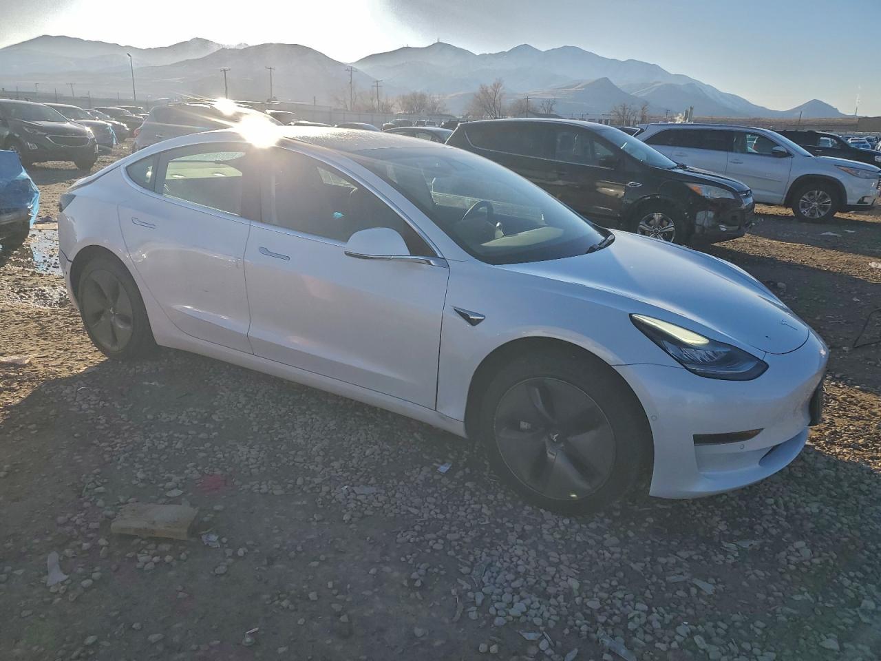 2019 TESLA MODEL 3 photo 4