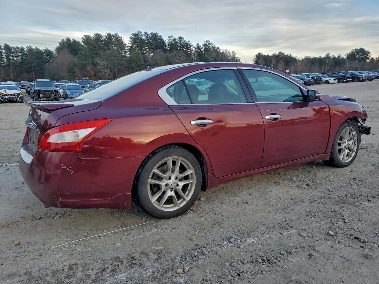 2010 NISSAN MAXIMA S photo 5