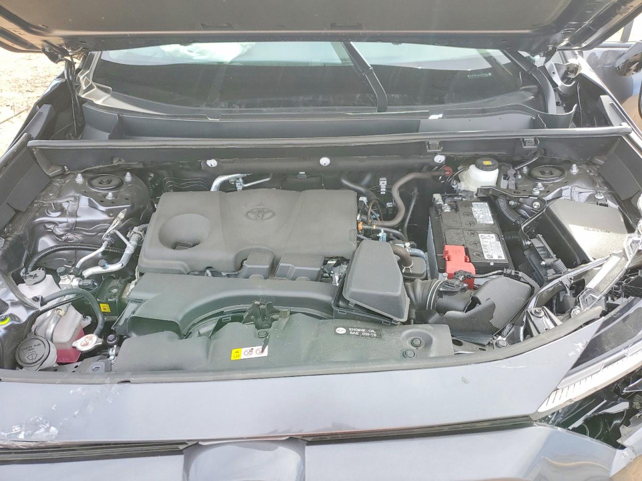 2025 TOYOTA RAV4 XLE photo 11