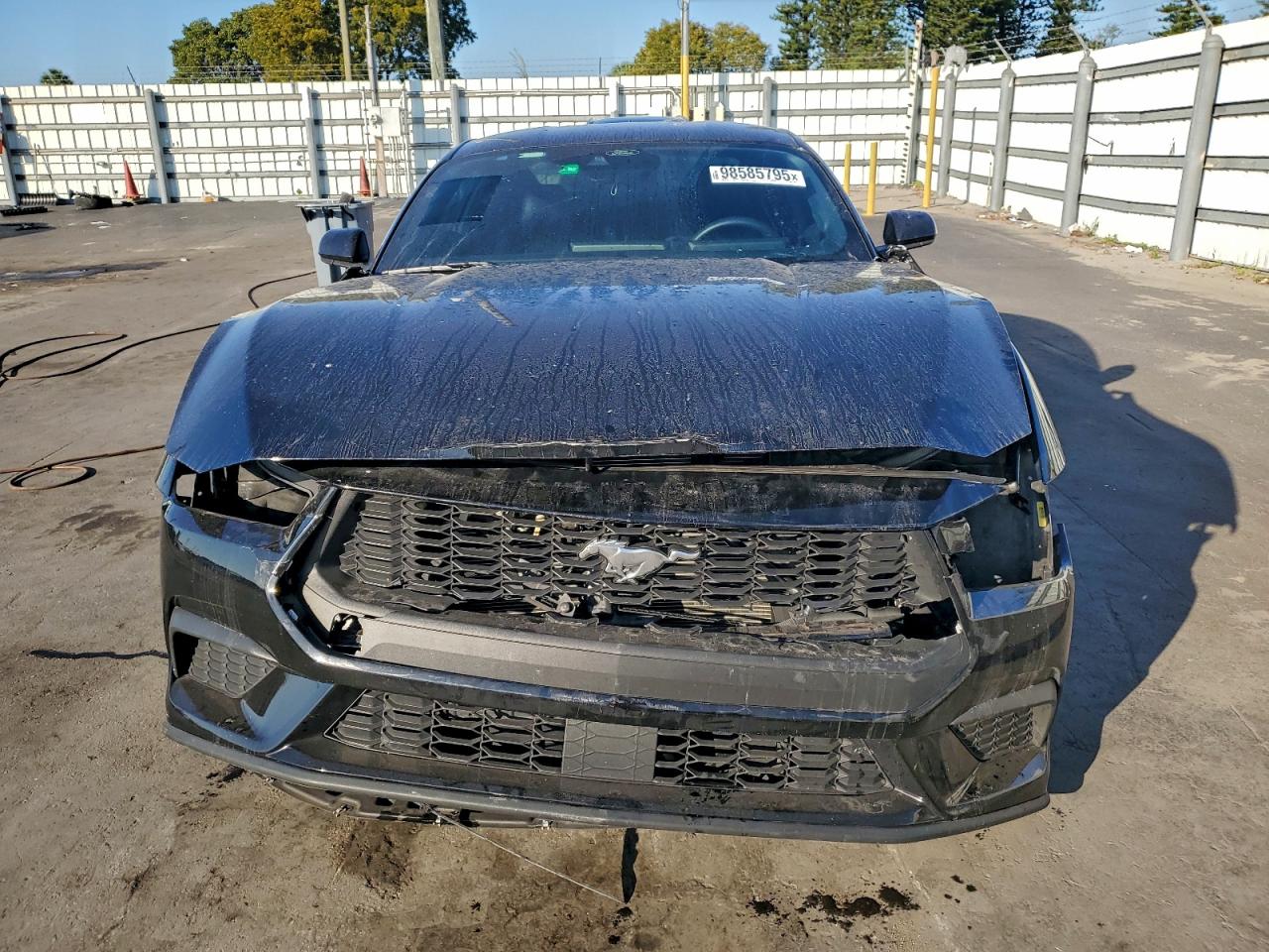 2024 FORD MUSTANG photo 5