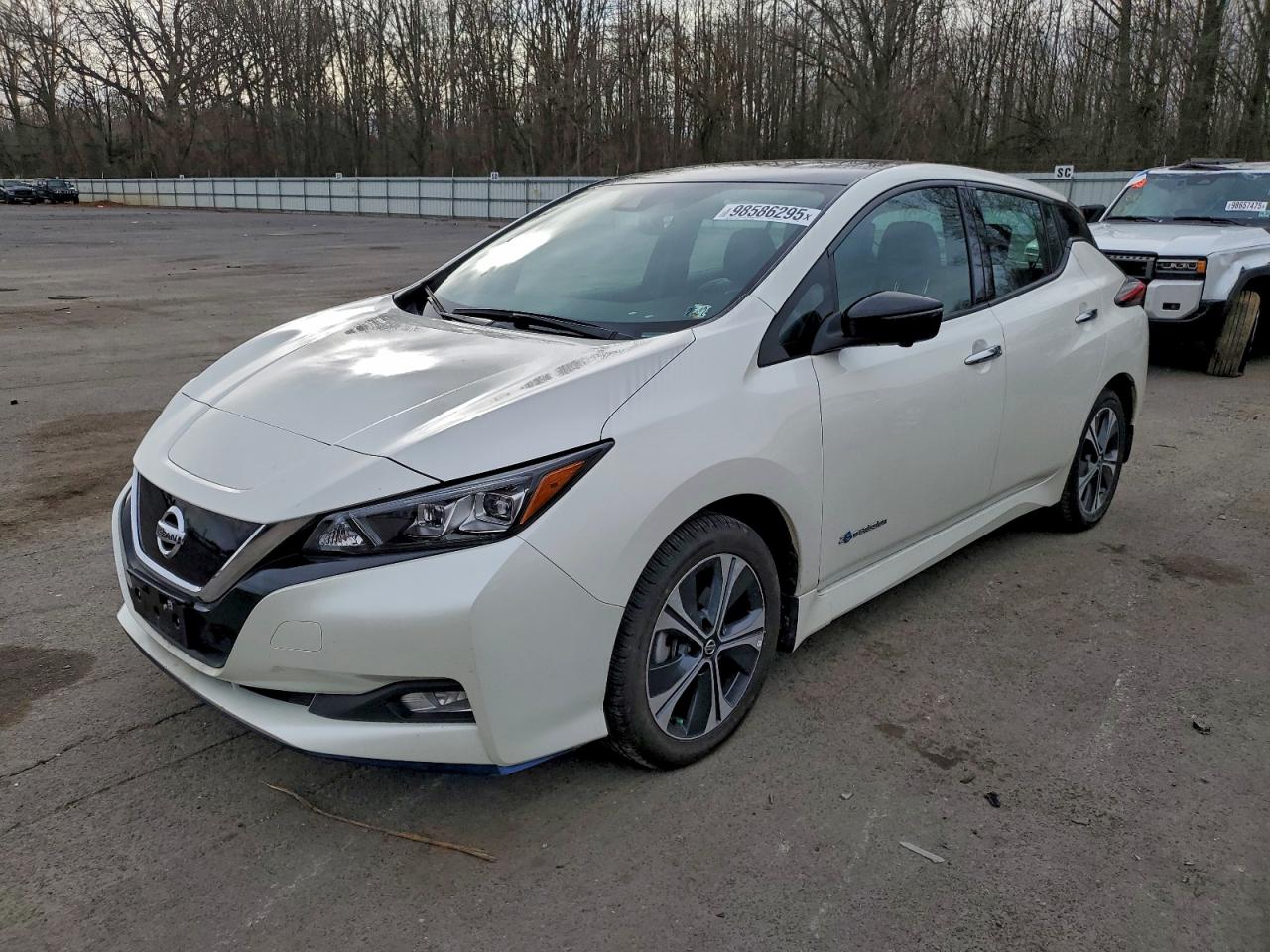 2019 NISSAN LEAF