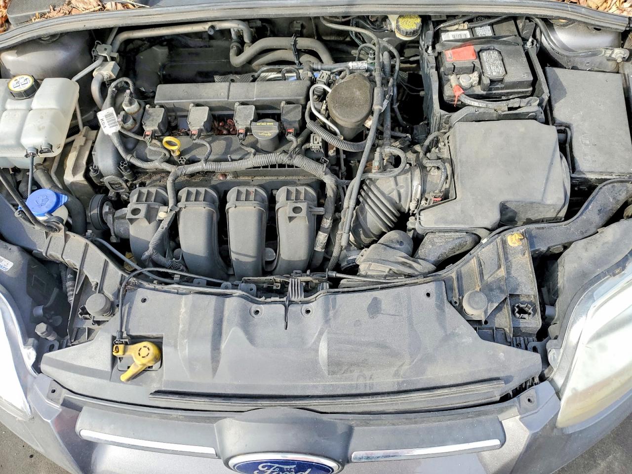 2014 FORD FOCUS SE photo 11