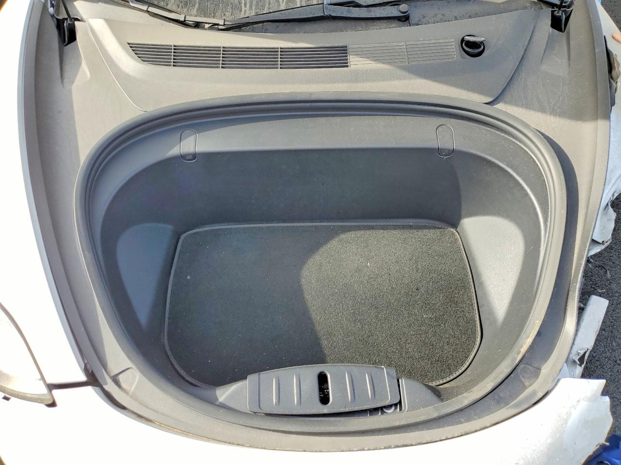 2019 TESLA MODEL 3 photo 11