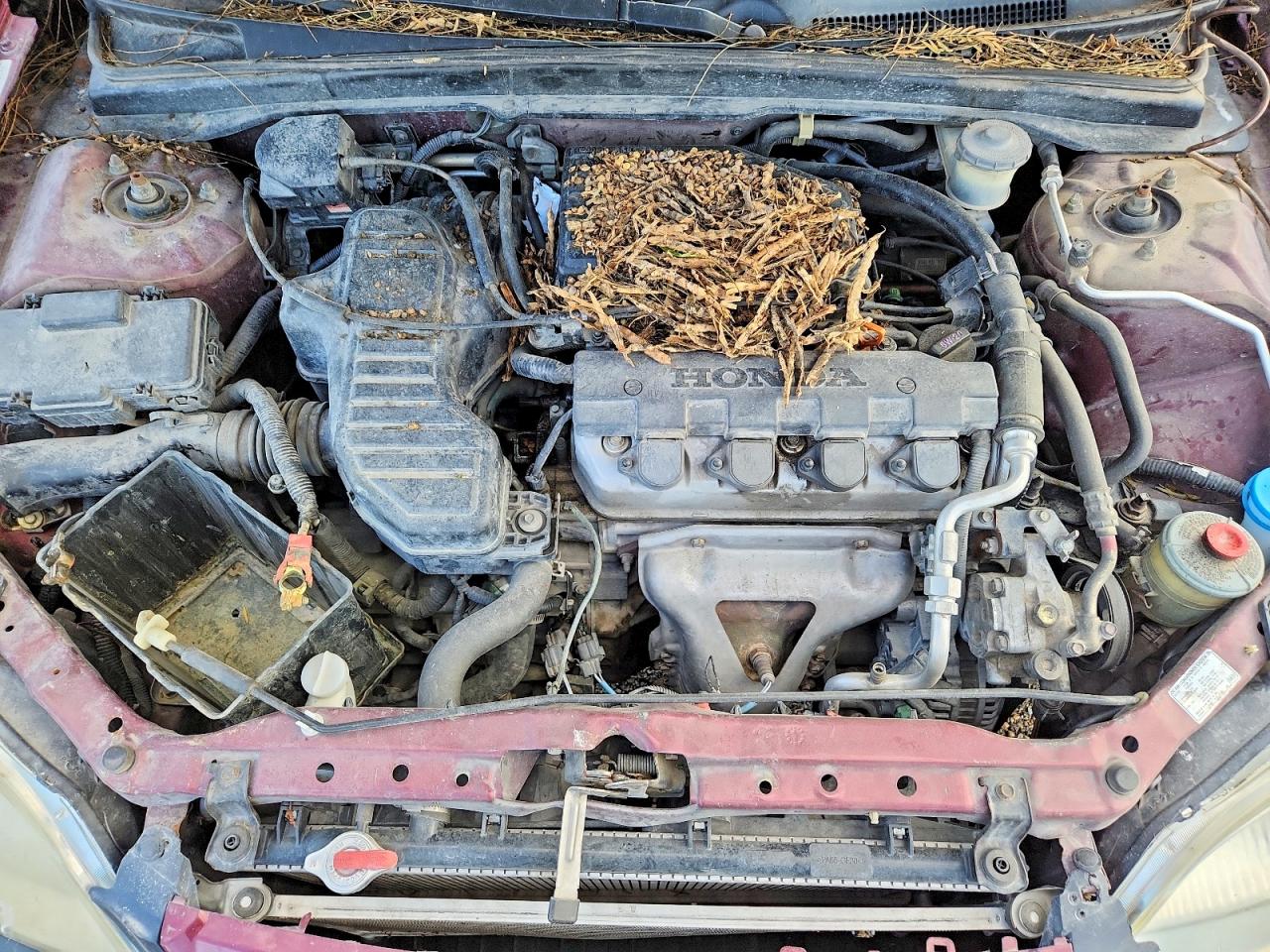 2003 HONDA CIVIC LX photo 21