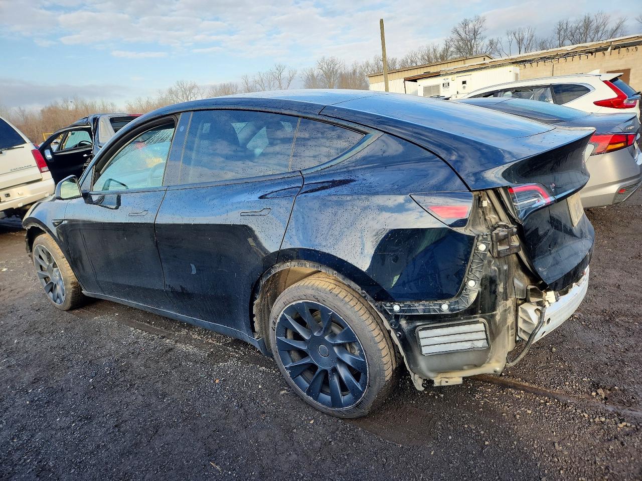 2021 TESLA MODEL Y photo 2