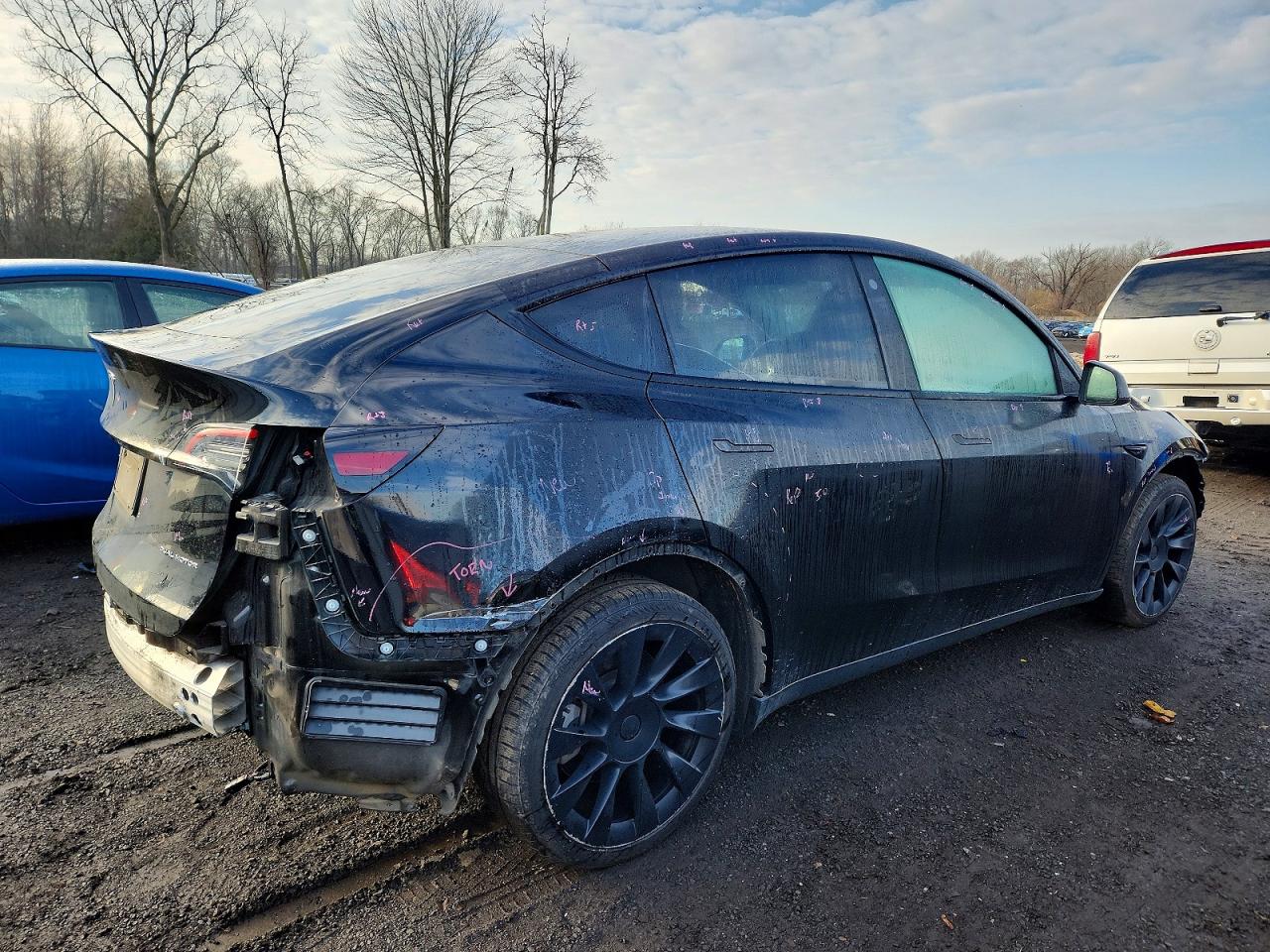 2021 TESLA MODEL Y photo 3