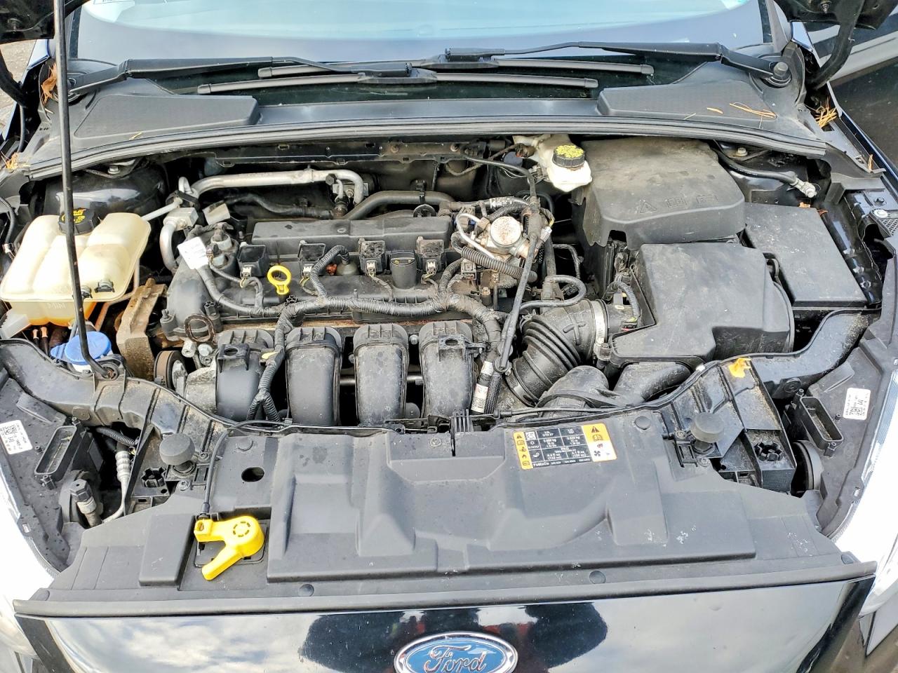 2017 FORD FOCUS SE photo 11