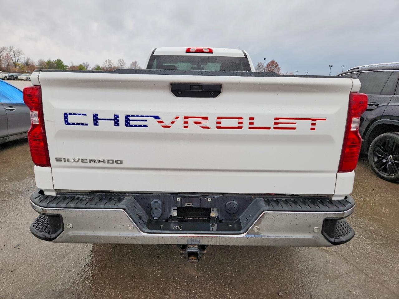 2019 CHEVROLET SILVERADO K1500 photo 6