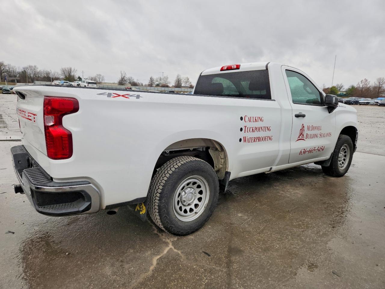 2019 CHEVROLET SILVERADO K1500 photo 3