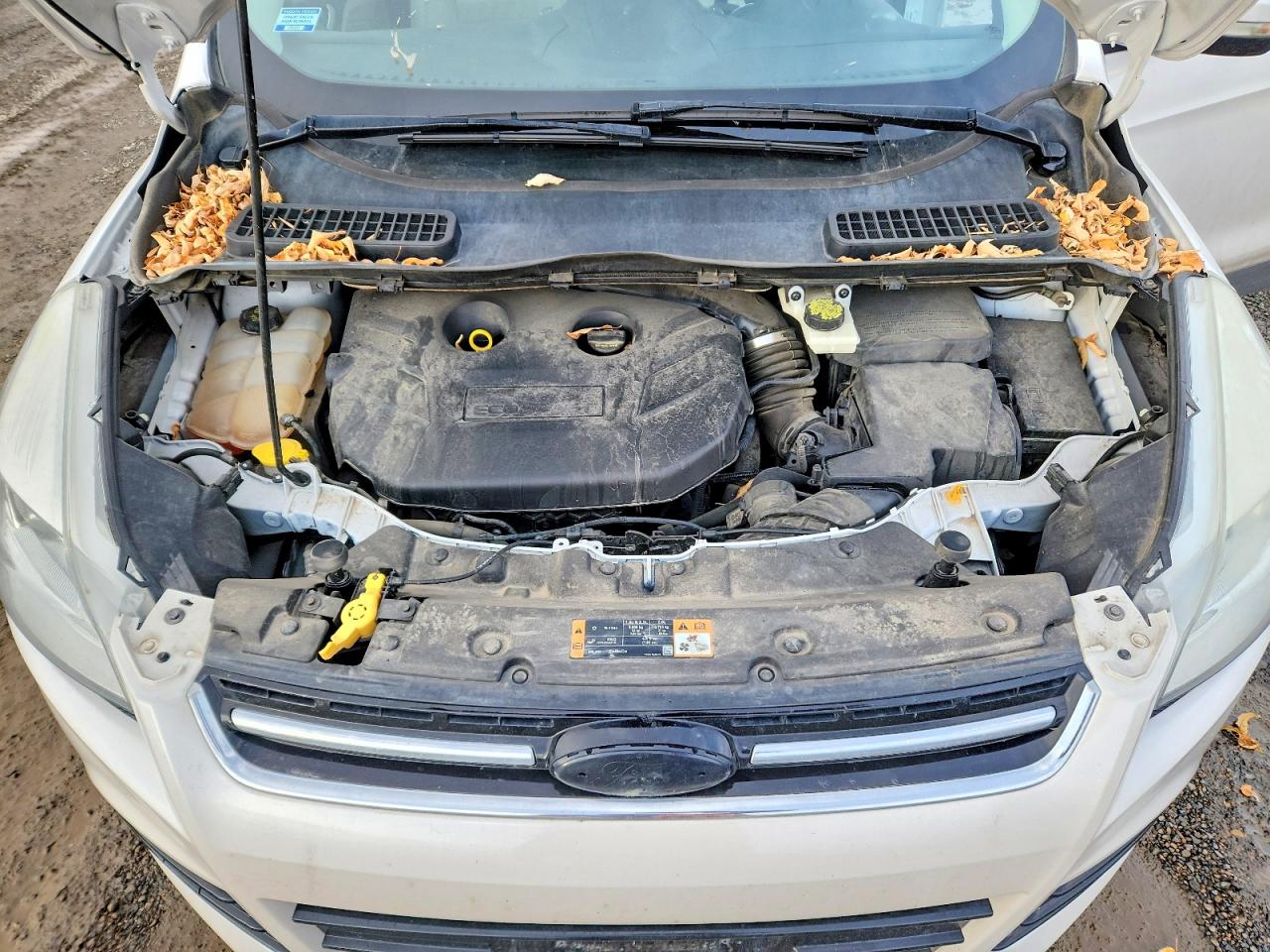 2014 FORD ESCAPE TITANIUM photo 12