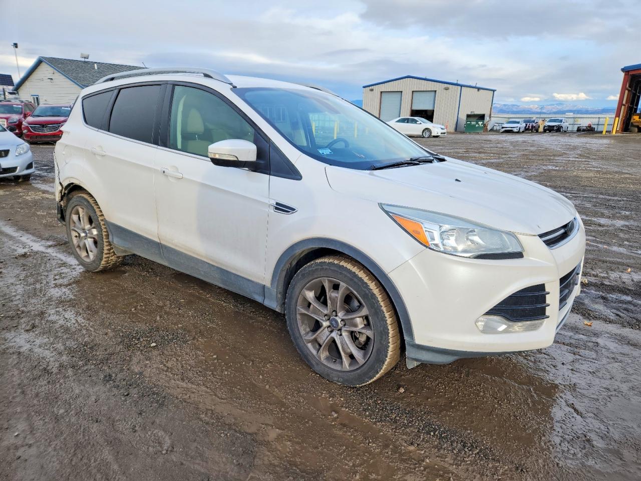 2014 FORD ESCAPE TITANIUM photo 4