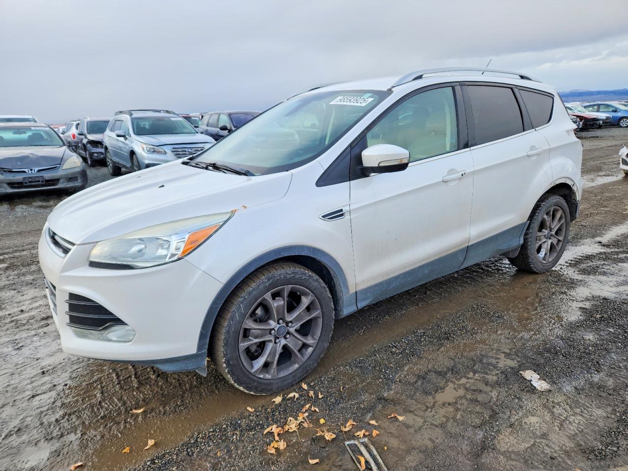 2014 FORD ESCAPE