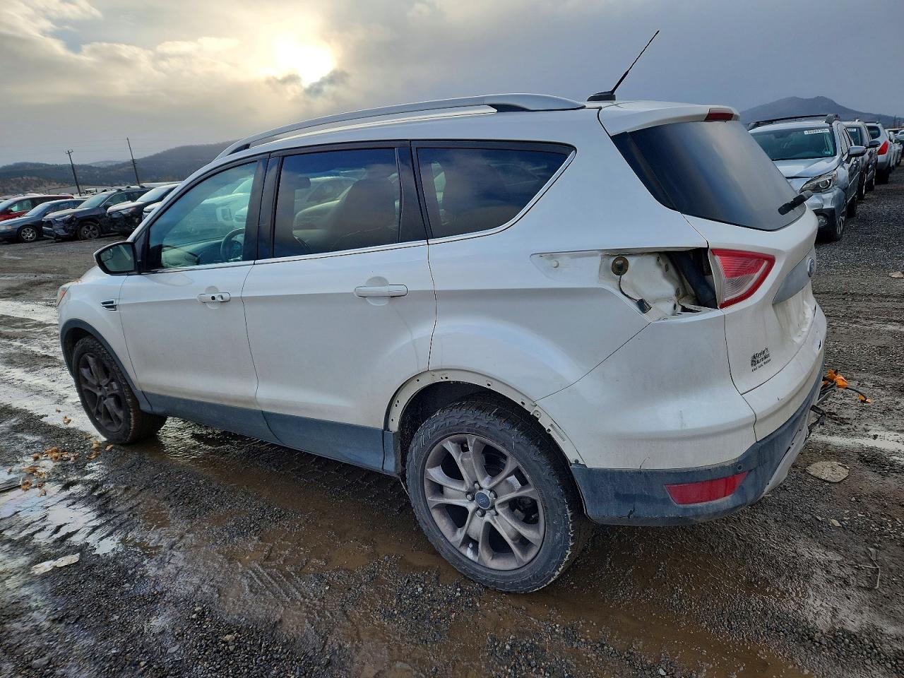 2014 FORD ESCAPE TITANIUM photo 2