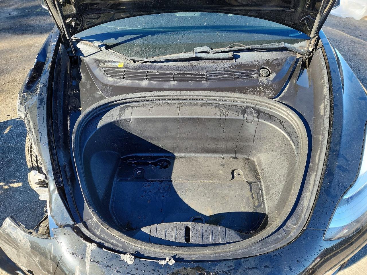 2019 TESLA MODEL 3 photo 11