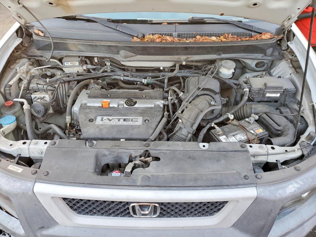 2006 HONDA ELEMENT EX photo 12