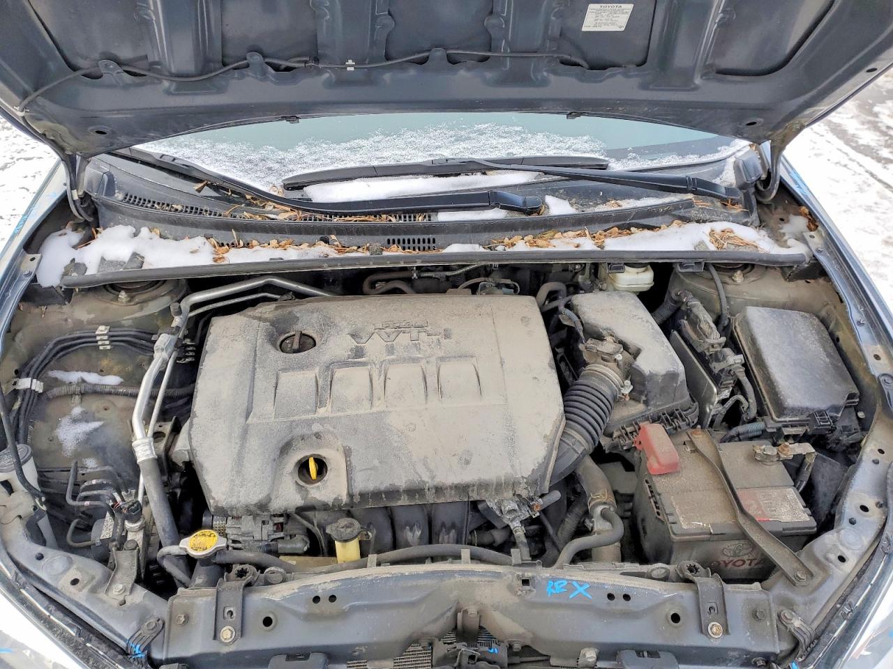 2014 TOYOTA COROLLA L photo 11