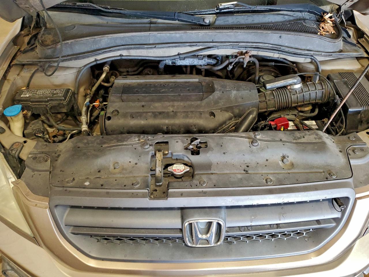 2003 HONDA PILOT EXL photo 12