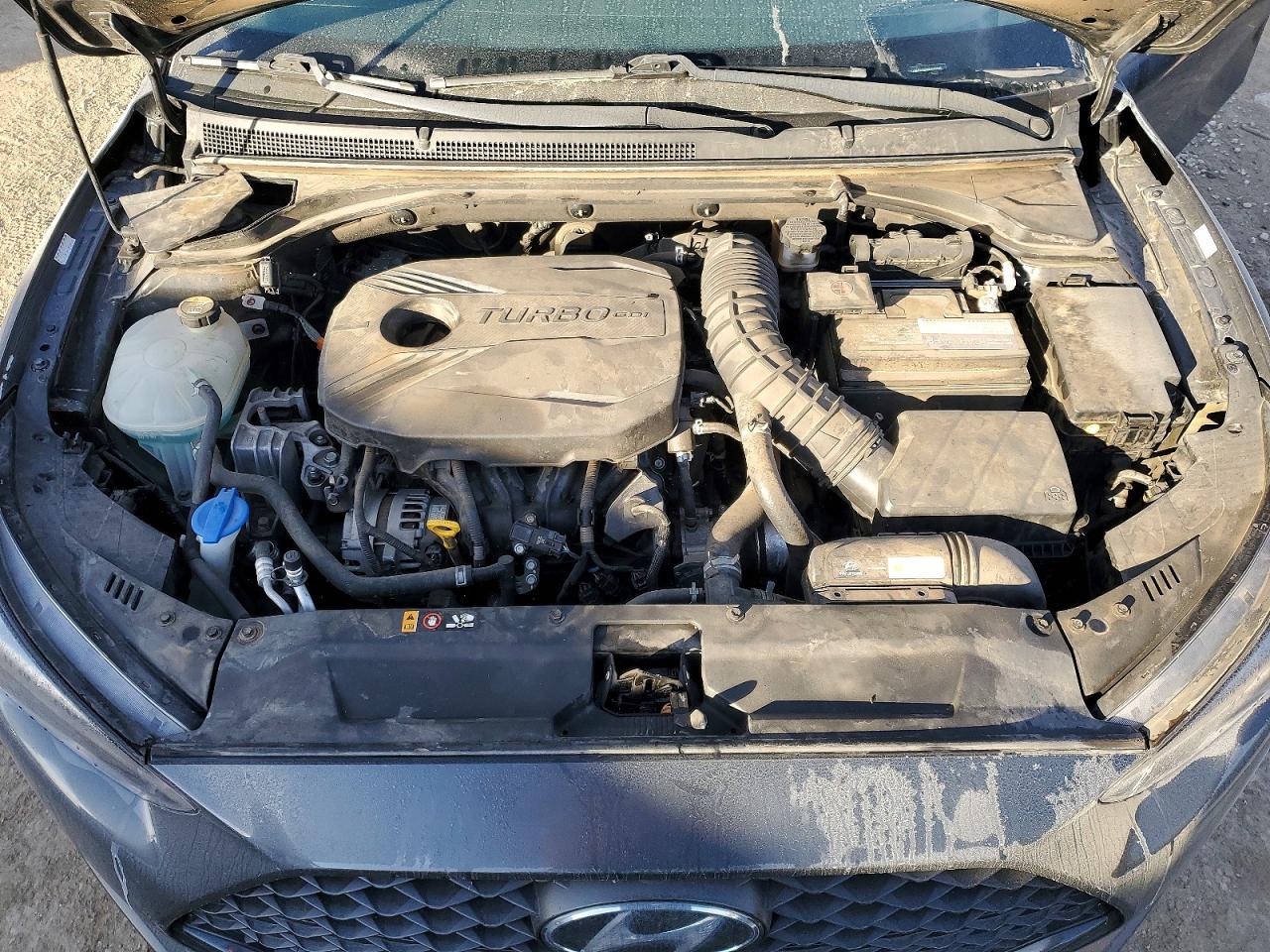 2019 HYUNDAI VELOSTER TURBO ULTIMATE photo 11