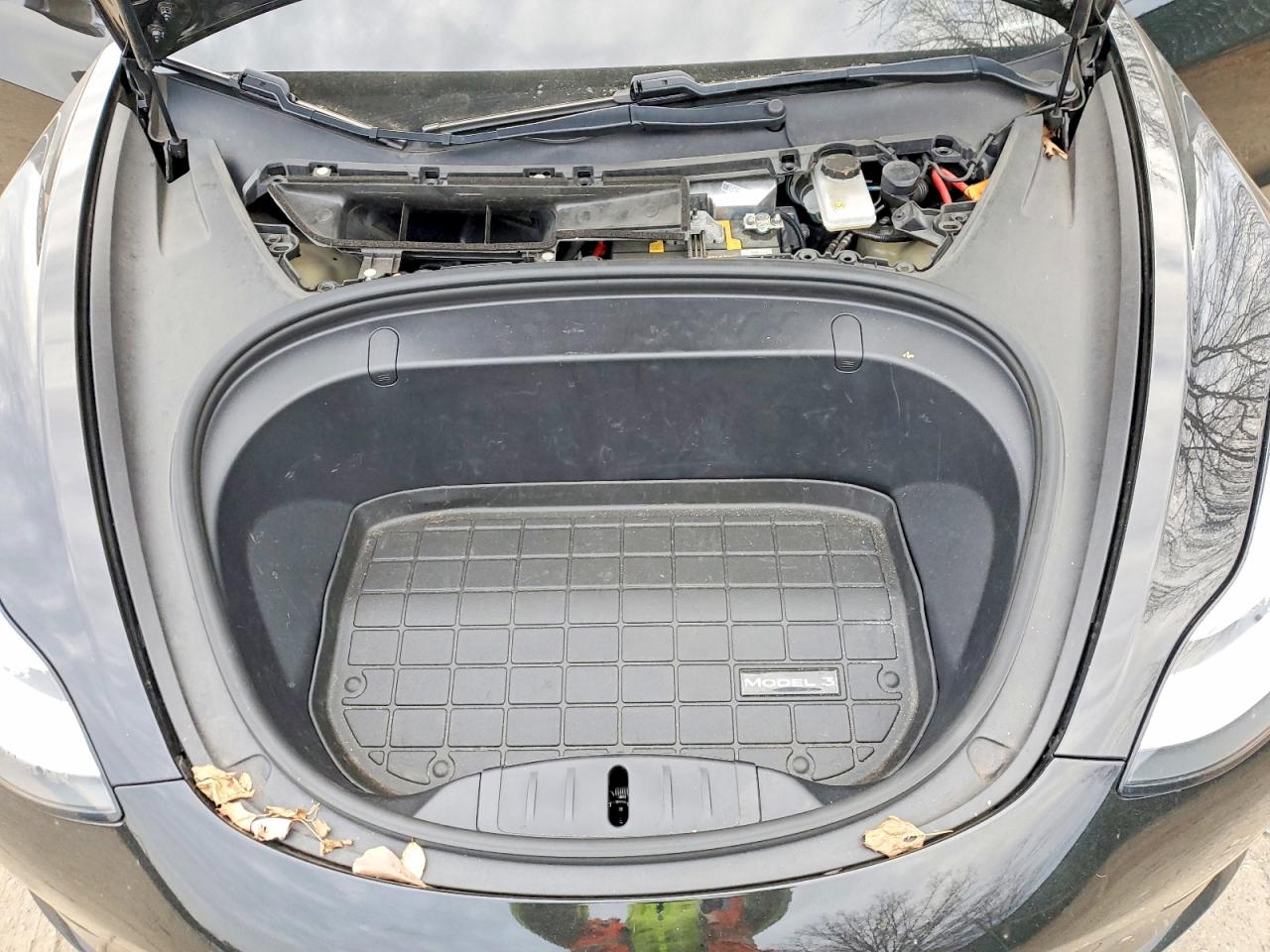 2019 TESLA MODEL 3 photo 11