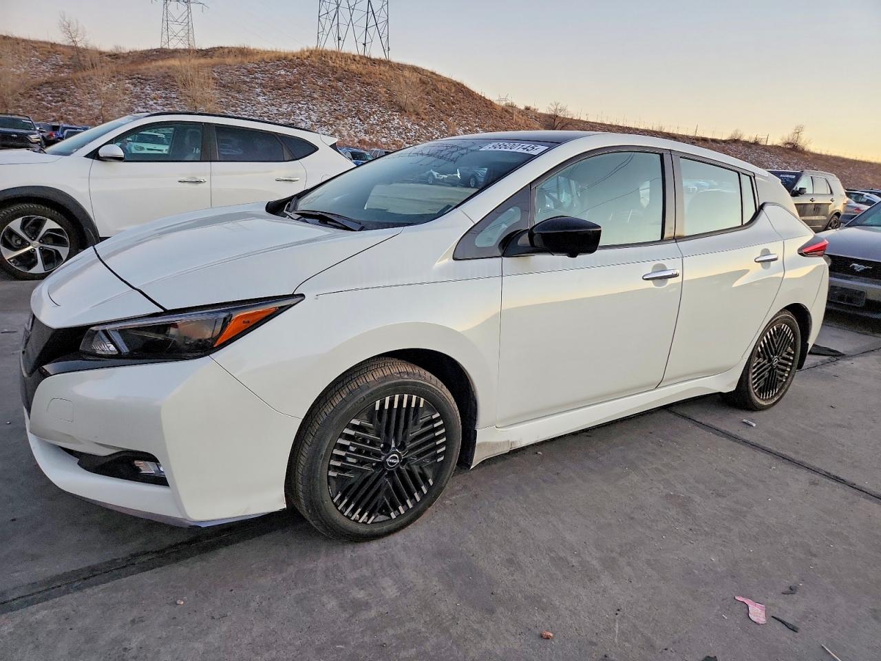 2024 NISSAN LEAF