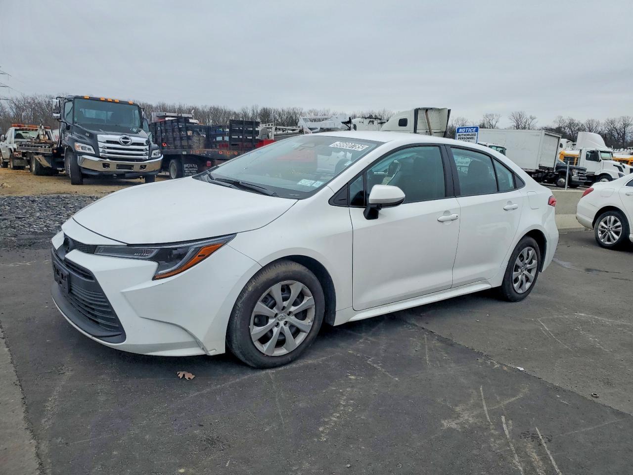 2025 TOYOTA COROLLA