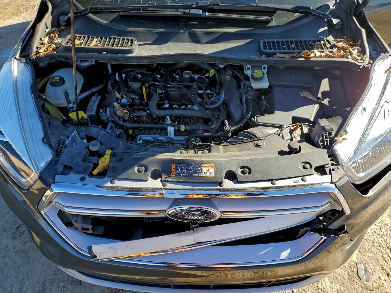 2019 FORD ESCAPE SEL photo 11