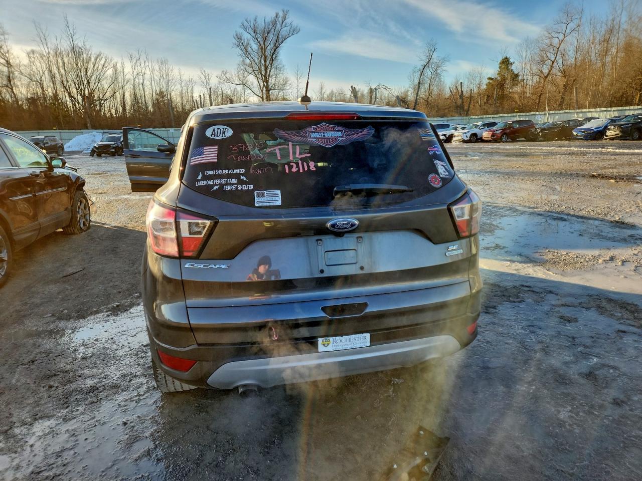 2017 FORD ESCAPE SE photo 6